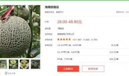 娱乐性质的瓜怎么吃,如何轻松享用娱乐八卦大餐