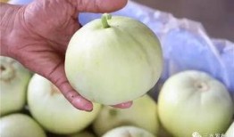 五一吃瓜今日必吃大瓜网黄,揭秘今日必吃大瓜网黄风云