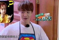 娱乐吃瓜酱智商,智商爆表的趣味解读