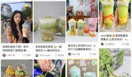 娱乐性质的瓜怎么吃,如何轻松享用娱乐八卦大餐