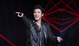 吃瓜娱乐圈 王力宏是谁