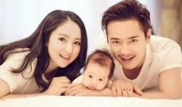 爱娱乐的吃瓜欢,揭秘娱乐圈幕后故事